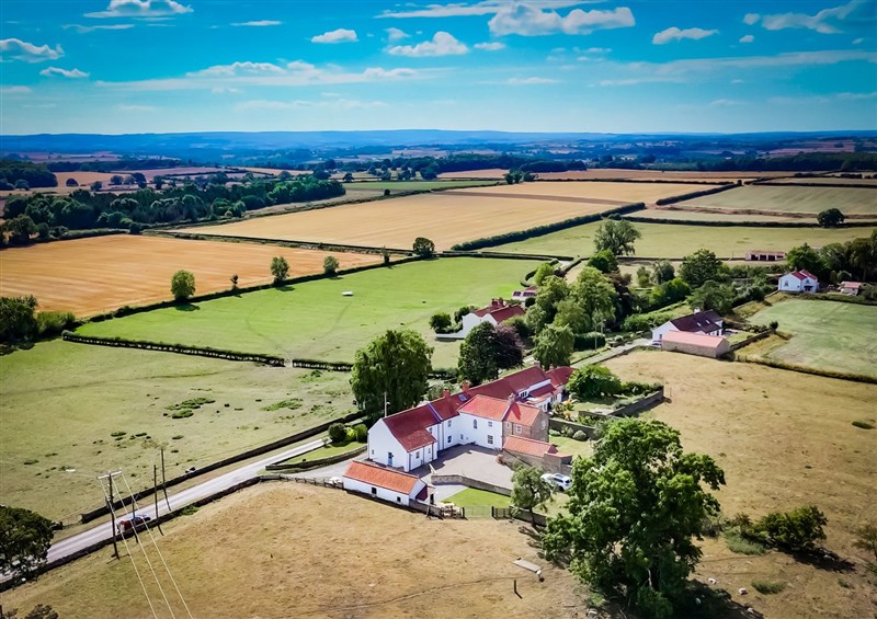 The garden at Peace Cottage, Langton near Gainford