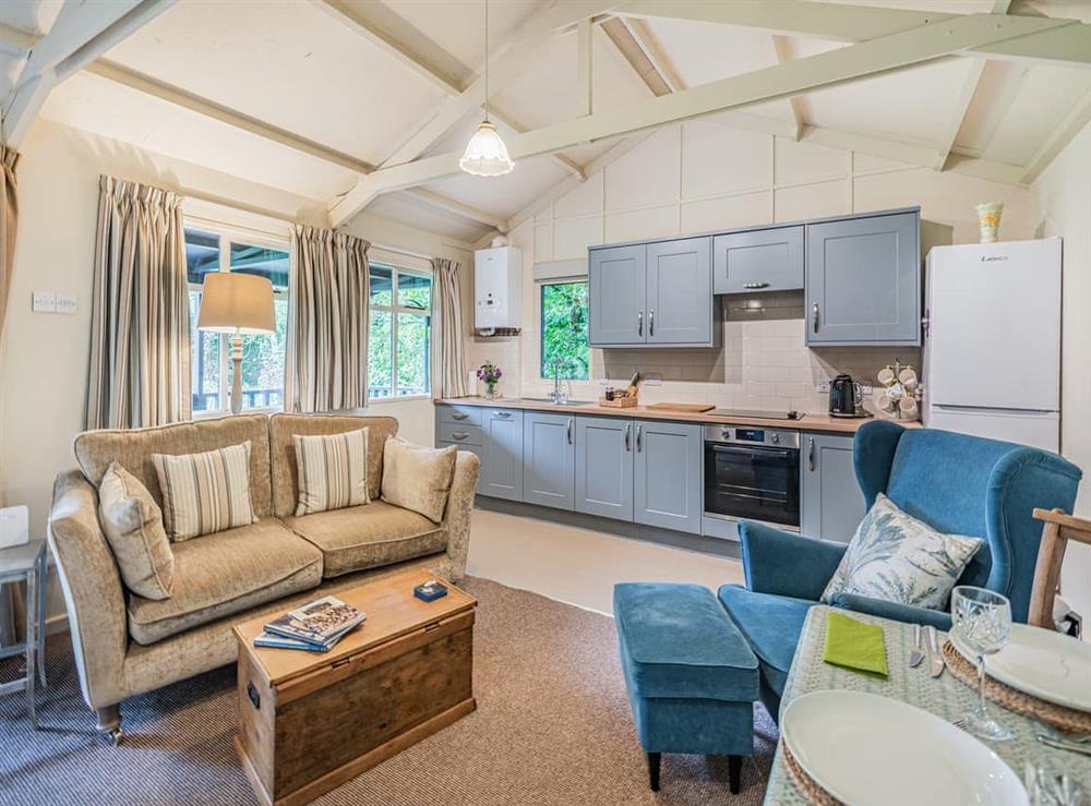 Open plan living space at Peaceful Woodland Lodge in Louth, Lincolnshire