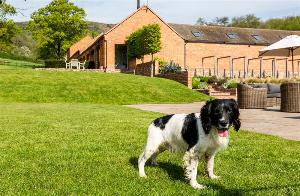 Peanut Barn (photo 84) at Peanut Barn in Ledbury, Worcestershire