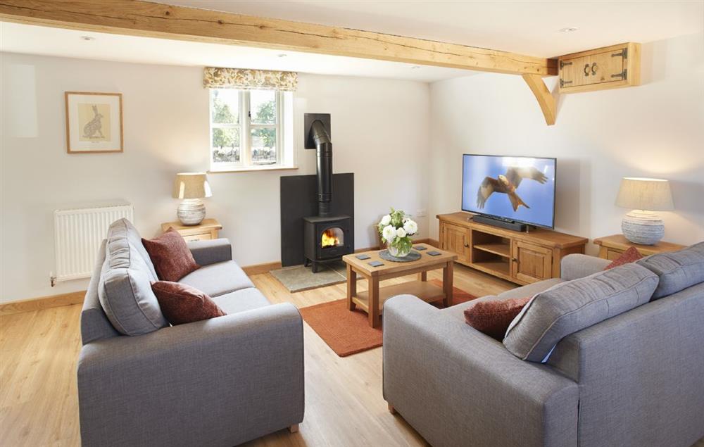 Sitting room with wood burning stove and comfy sofas.