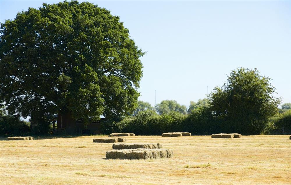 Step outside and breathe in the country air.