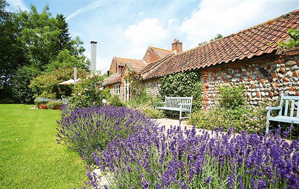 Beautiful, lawned garden at Pear Tree Cottage, Wickmere
