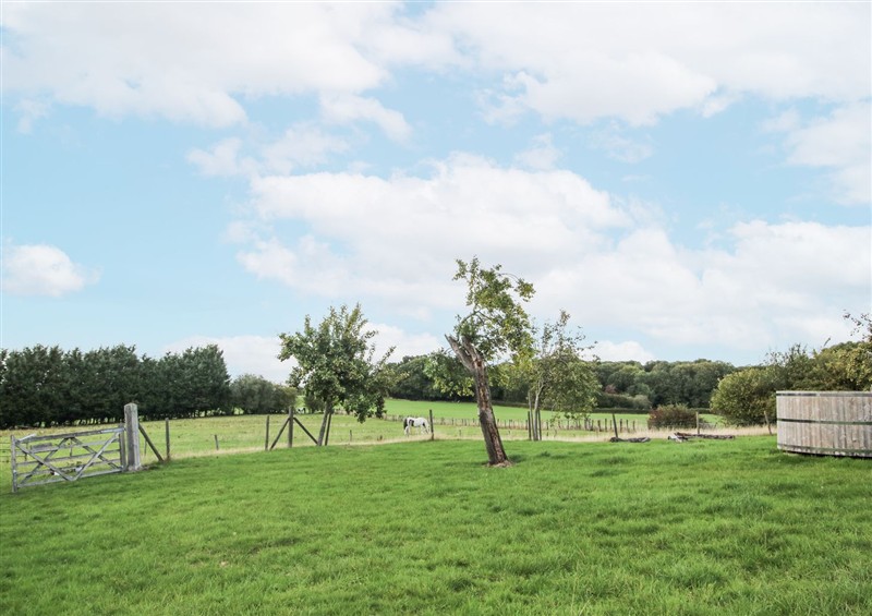 The garden in Pear Trees at Pear Trees, Bewdley