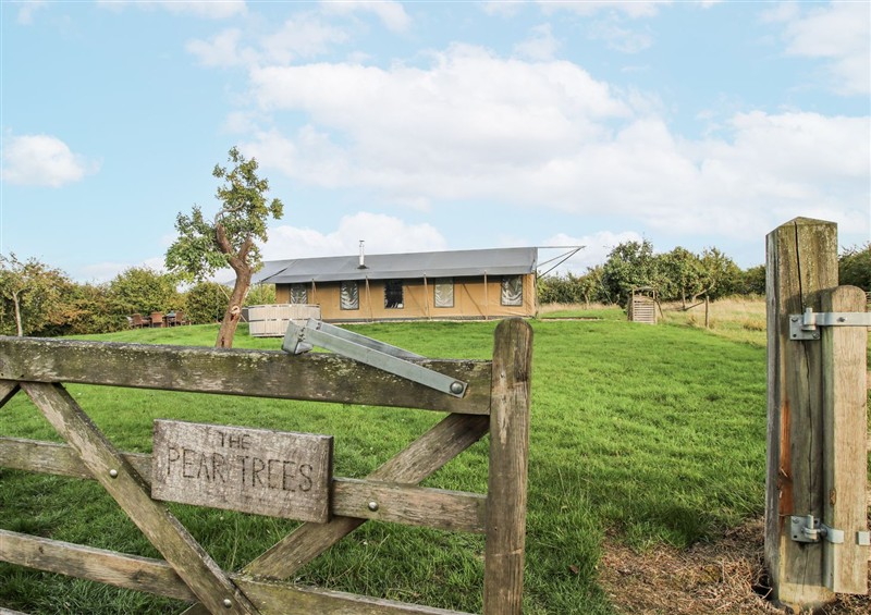 This is the garden at Pear Trees, Bewdley
