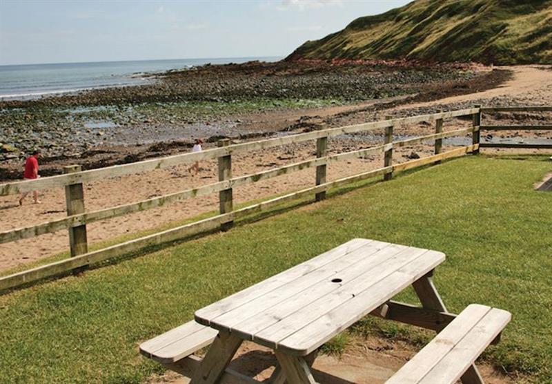 Relax and enjoy the scenery at Pease Bay Holiday Park in , Edinburgh & the Borders