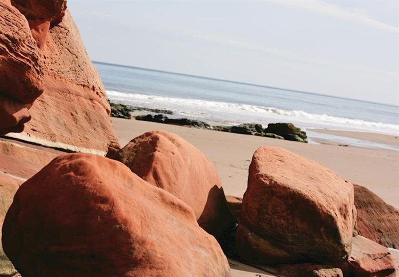 Sandstone cliffs at Pease Bay Holiday Park in , Edinburgh & the Borders