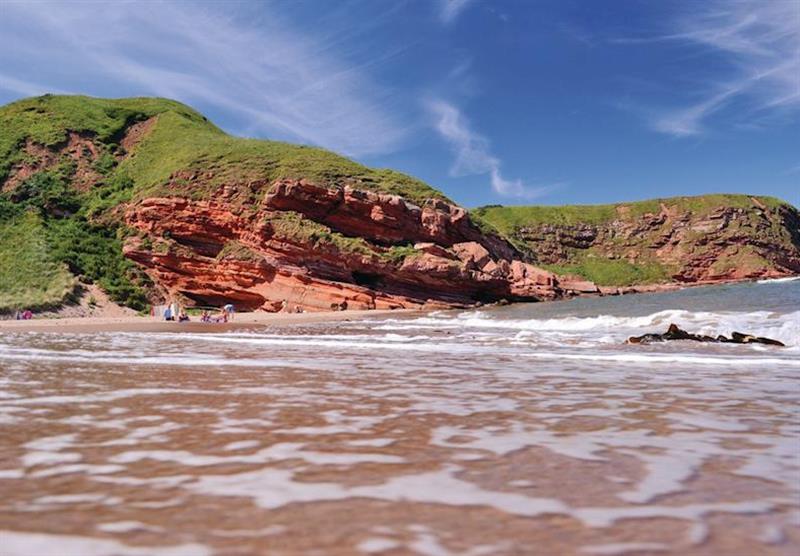 Stunning scenery at Pease Bay at Pease Bay Holiday Park in , Edinburgh & the Borders