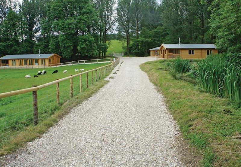 The park setting (photo number 4) at Peckmoor Farm Lodges in Crewkerne, Dorset