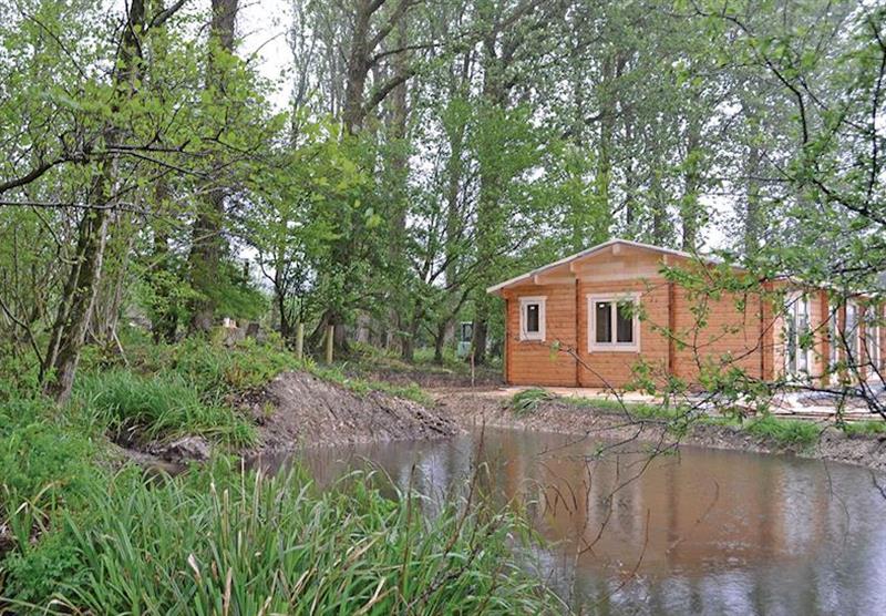 The park setting at Peckmoor Farm Lodges in Crewkerne, Dorset
