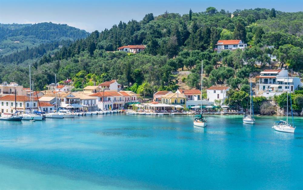 A photo of Pelagia