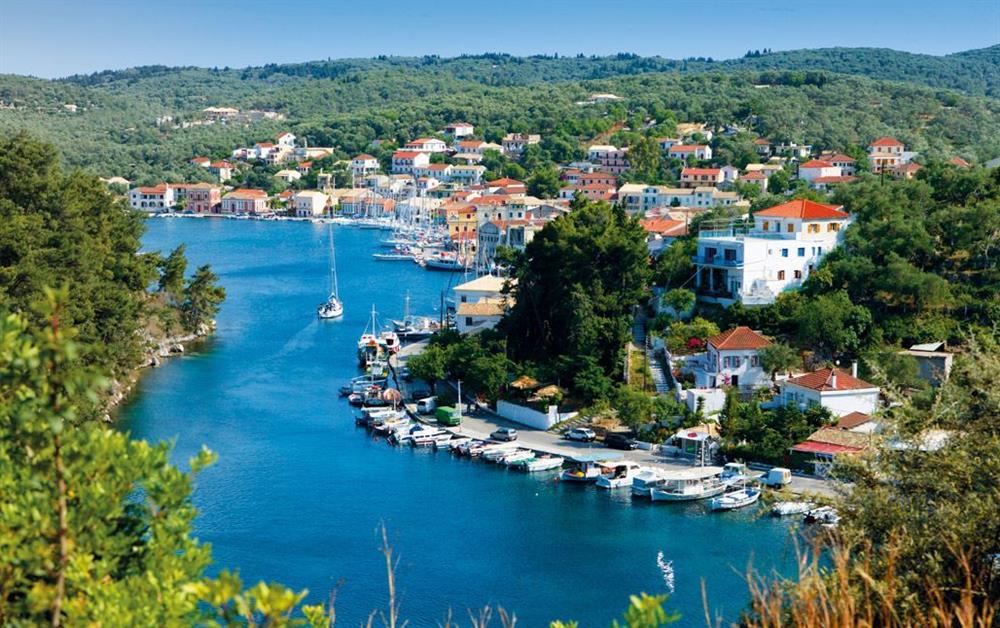 A photo of Pelagia