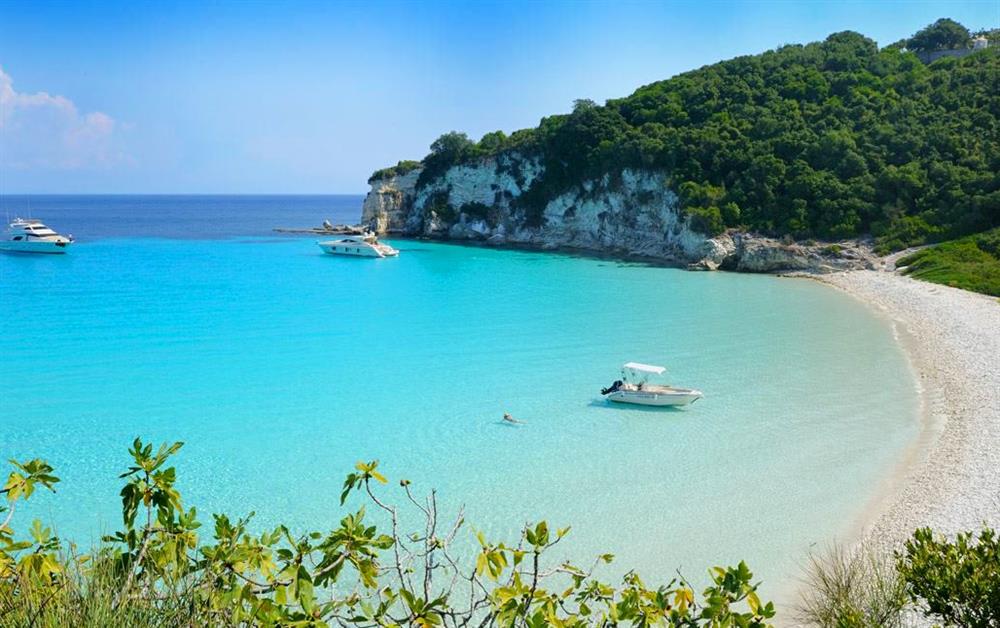 A photo of Pelagia