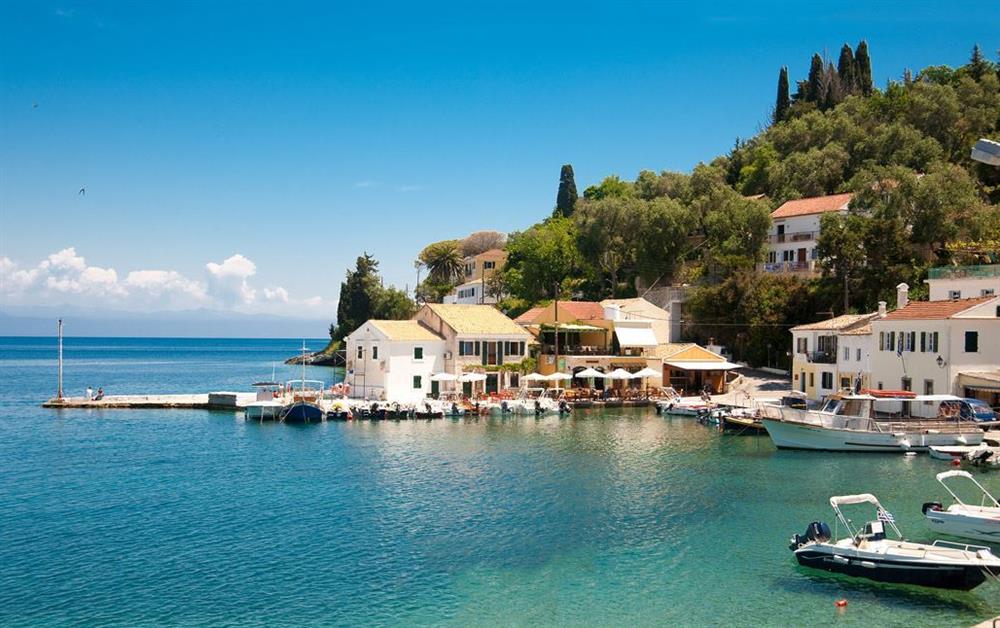 A photo of Pelagia