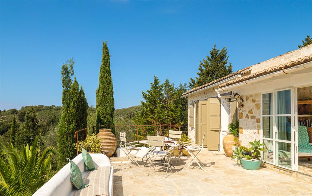 A photo of Pelagia