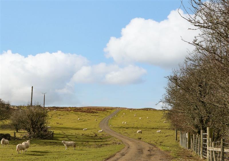 Rural landscape at Pen-Croeslan Bach, Ffawyddog near Crickhowell