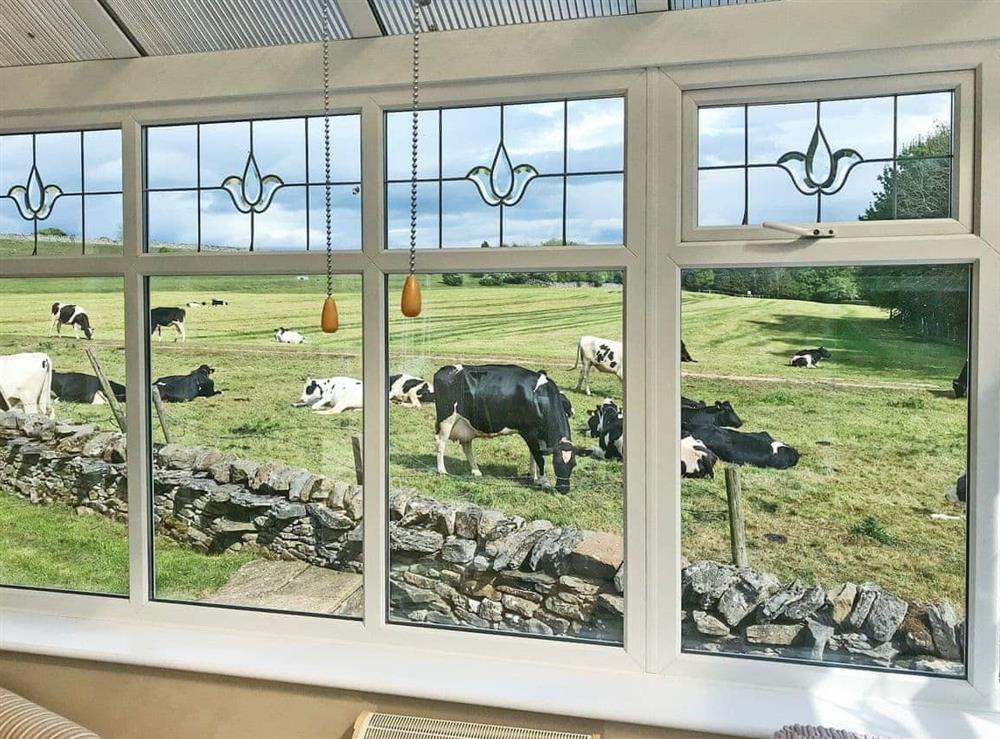 Wonderful rural views from conservatory at Pen Hill View in Leyburn, near Northallerton, North Yorkshire