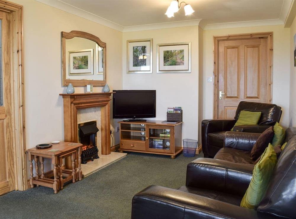 Living room at Pen Y Bryn Apartment in Manordeilo, near Llandeilo, Dyfed