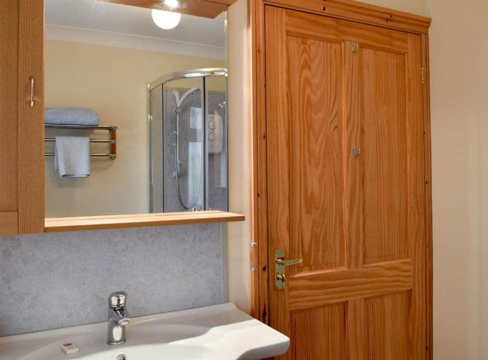 Shower room at Pen Y Bryn Apartment in Manordeilo, near Llandeilo, Dyfed