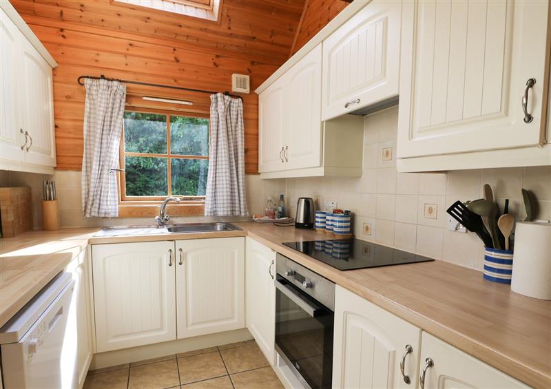 This is the kitchen (photo 2) at Pen Y Clawdd, Beggars Bush near Presteigne