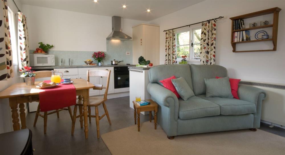 The open plan kitchen, sitting and dining room at Penarvon Cabin in Helston, Cornwall