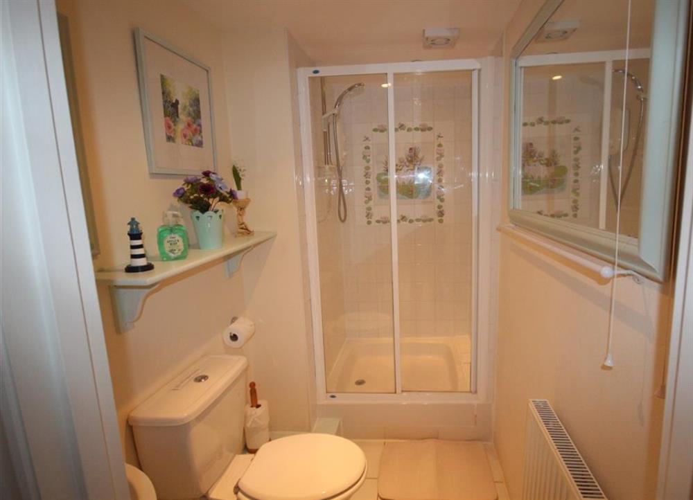 Shower room WC at Penberthy Barn in St Ives