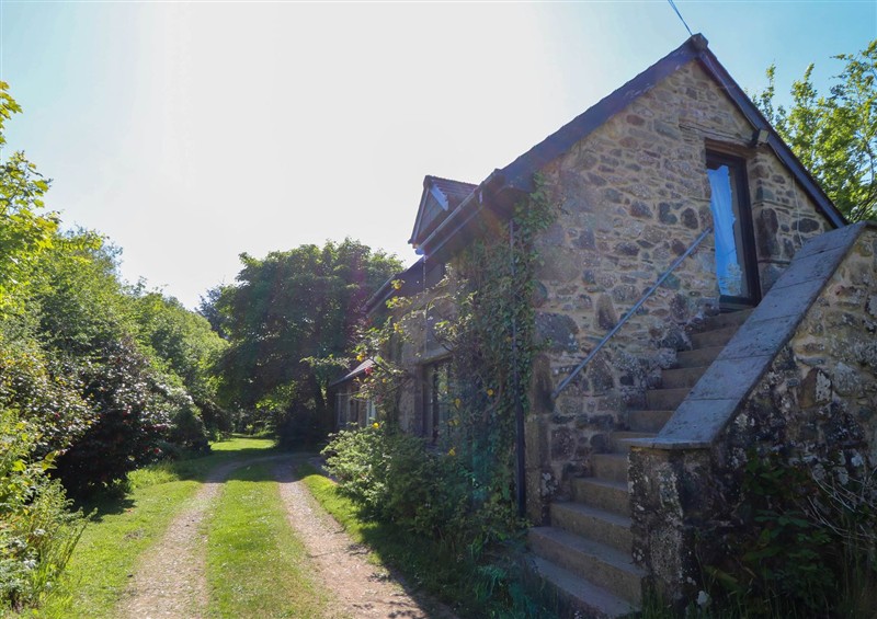 Outside at Penfeidr, Cilgwyn near Newport