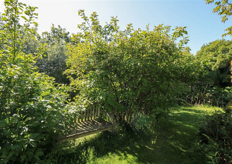 The garden in Penfeidr (photo 2) at Penfeidr, Cilgwyn near Newport