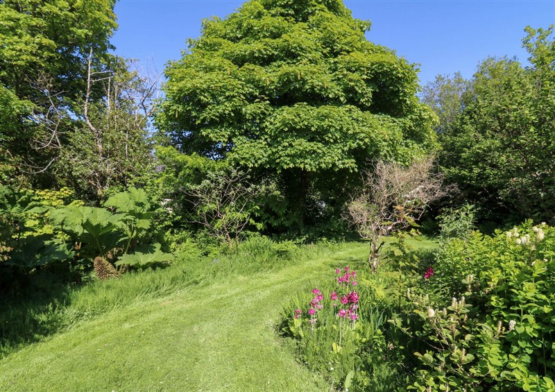 The garden in Penfeidr (photo 3) at Penfeidr, Cilgwyn near Newport