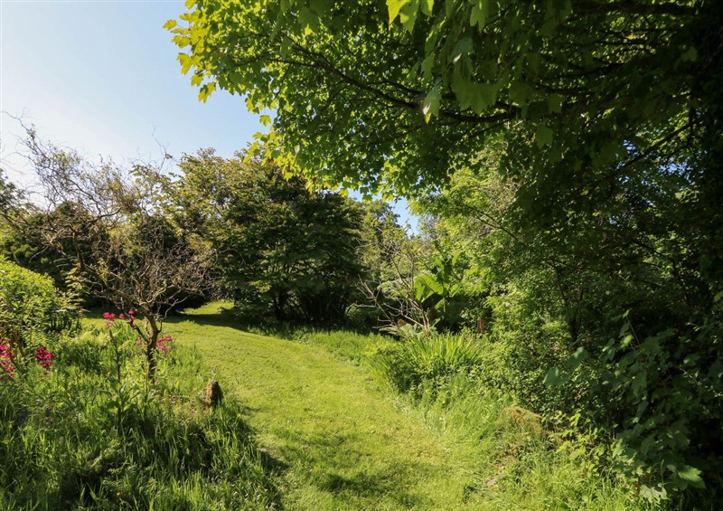 The garden in Penfeidr (photo 4) at Penfeidr, Cilgwyn near Newport