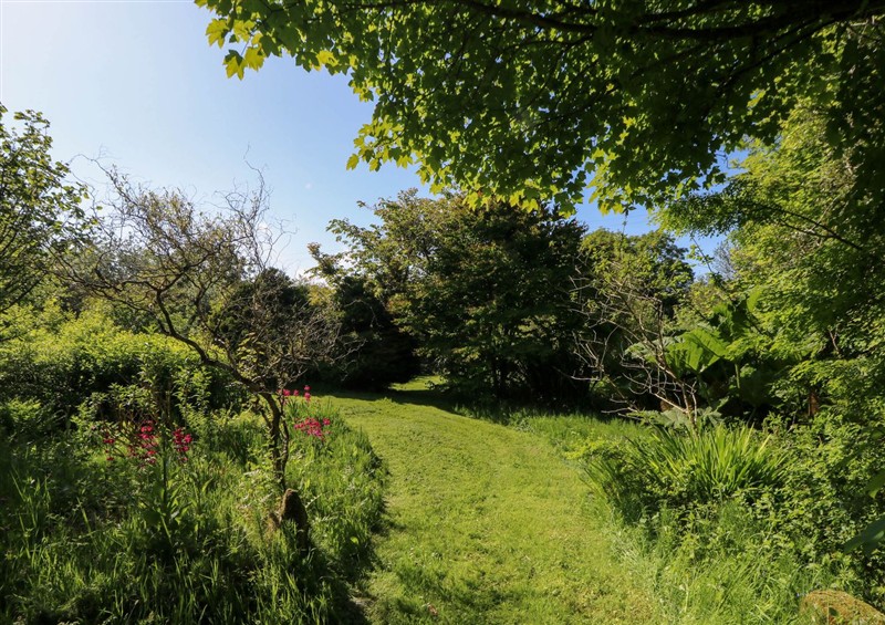 The garden in Penfeidr at Penfeidr, Cilgwyn near Newport