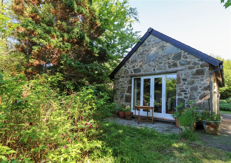 The garden at Penfeidr, Cilgwyn near Newport