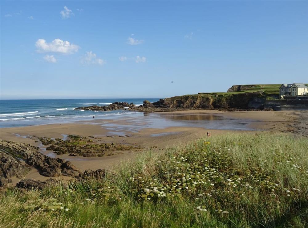 Stunning local coastline at Penfound Country Cottage in Poundstock, near Bude, Cornwall