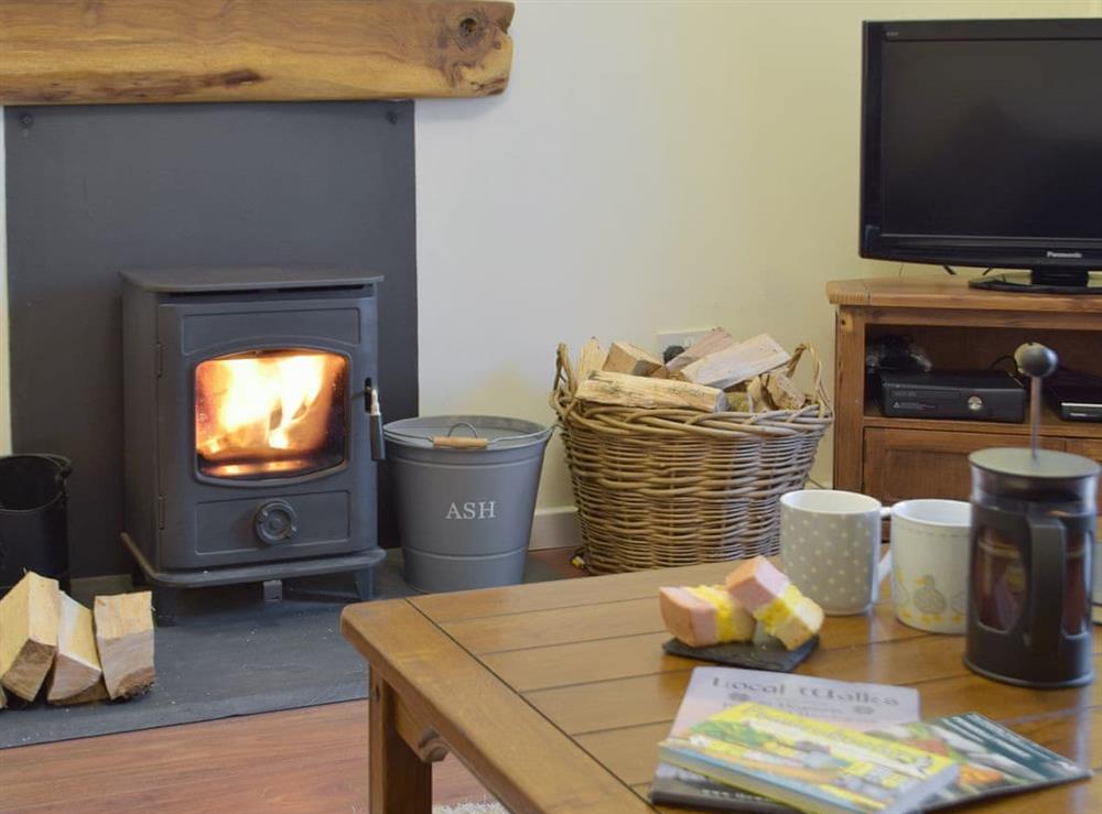 Living area (photo 2) at Pengelli Cottage in Eglwyswrw, near Crymych, Dyfed