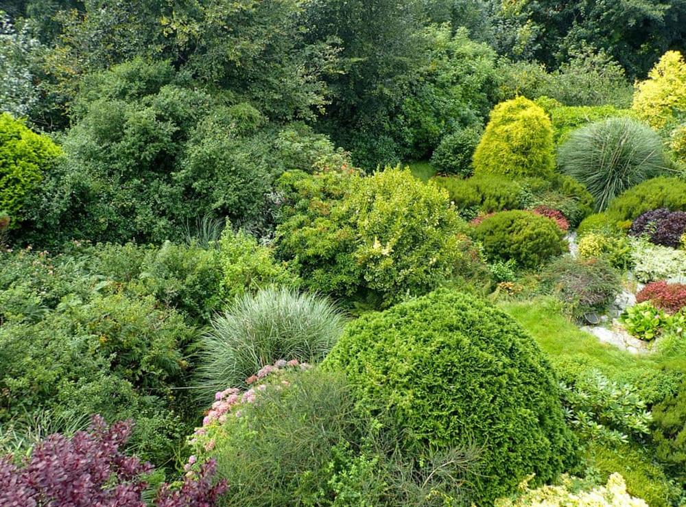 Mature tiered garden at Pengwyn in Trethevy, near Tintagel, Cornwall