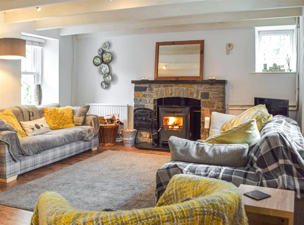 Living room at Penlan Cottage in Cwrt-newydd, Dyfed
