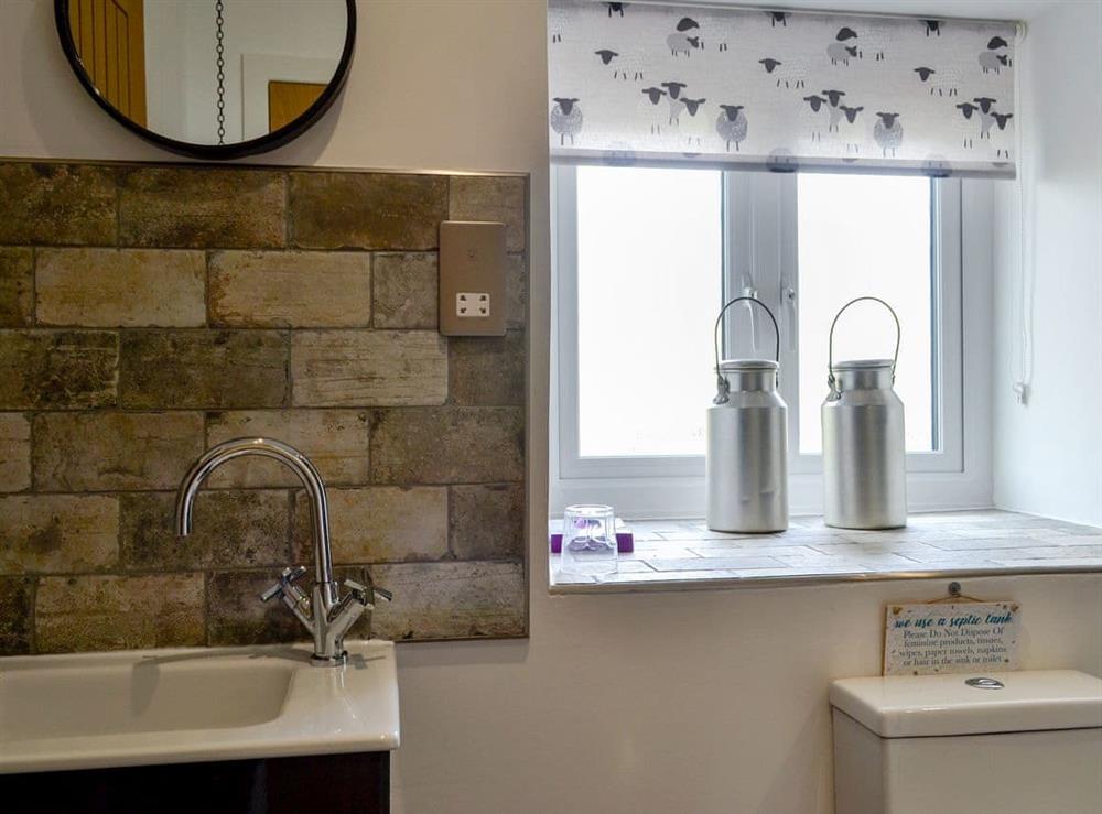 Shower room at Penrallt in Rhydlydan, near Betws-Y-Coed, Conway, Gwynedd