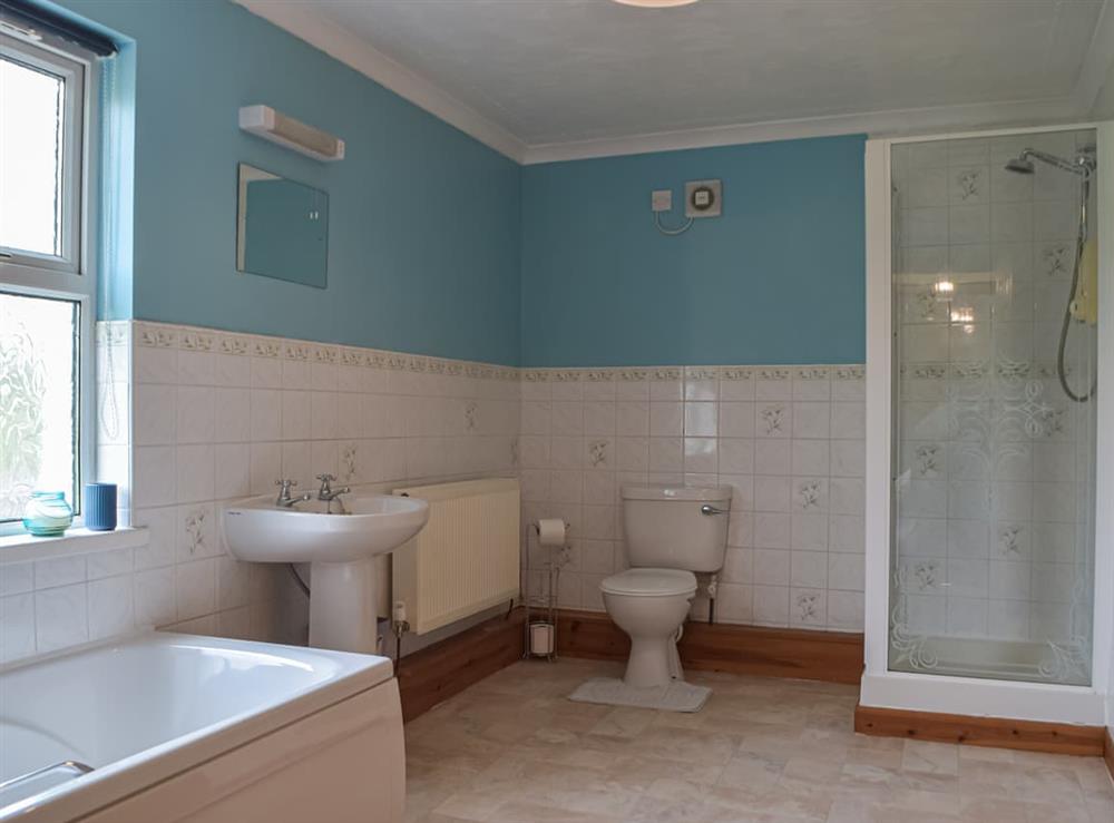Bathroom at Penrhiw Meredith in Nantgaredig, Dyfed