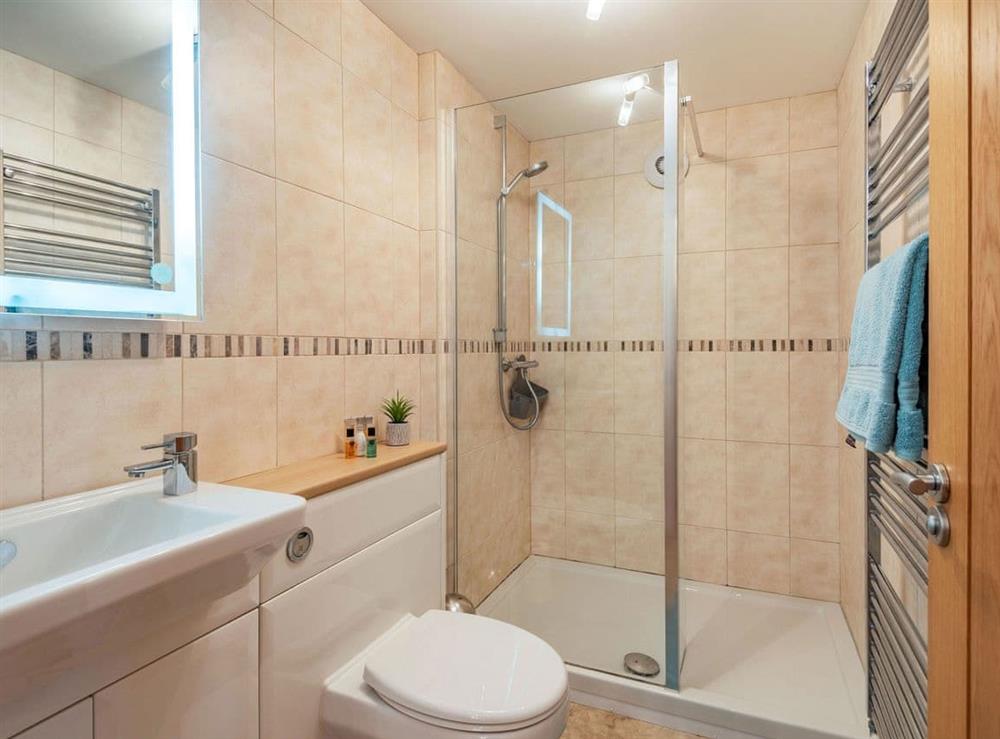 Shower room (photo 3) at Yr Efail, 