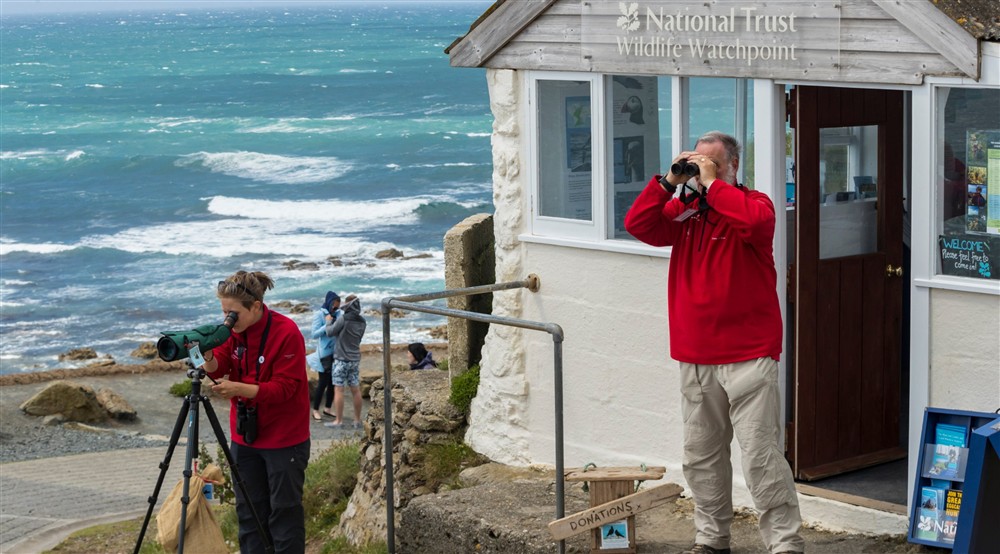 Volunteers at Penrose Stables in Helston, Cornwall