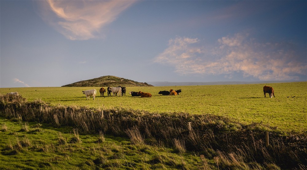 The area surrounding Pentire Head Farmhouse, Cornwall (photo 3) at Pentire Head Farmhouse in Polzeath, Cornwall