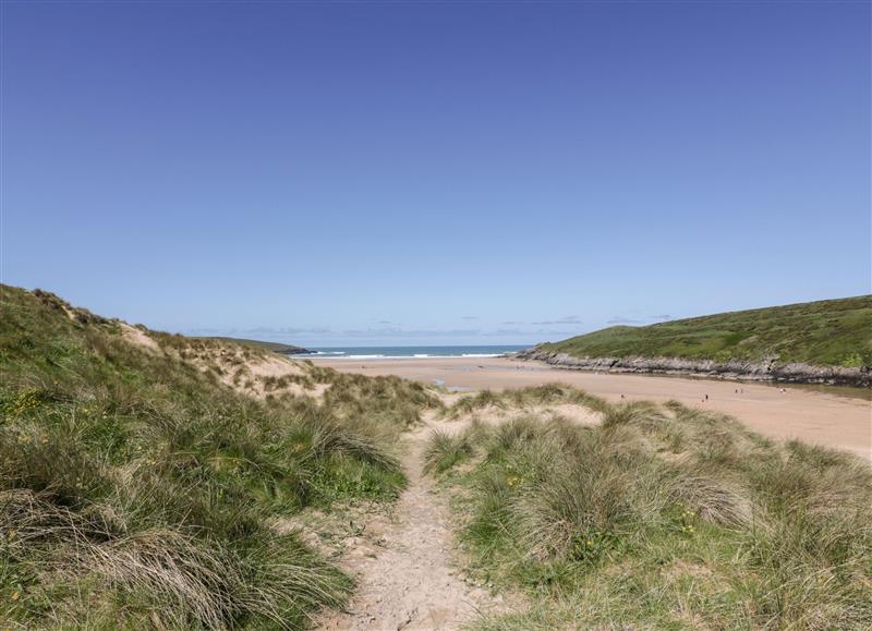 Rural landscape at Pentire Reach, Crantock