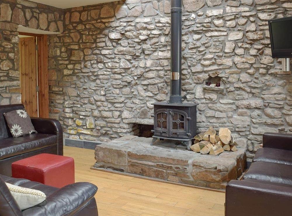 Cosy wood burner in the living room at Pentre Cottage in Ferryside, Dyfed