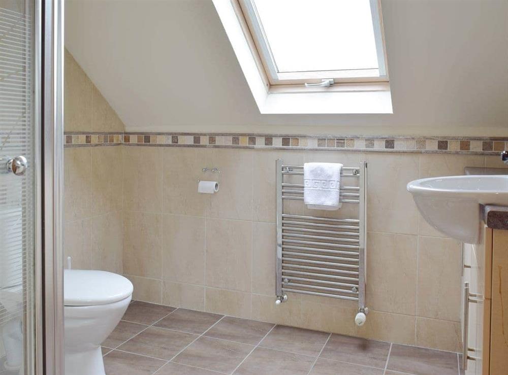 En-suite shower room at Pentre Cottage in Ferryside, Dyfed