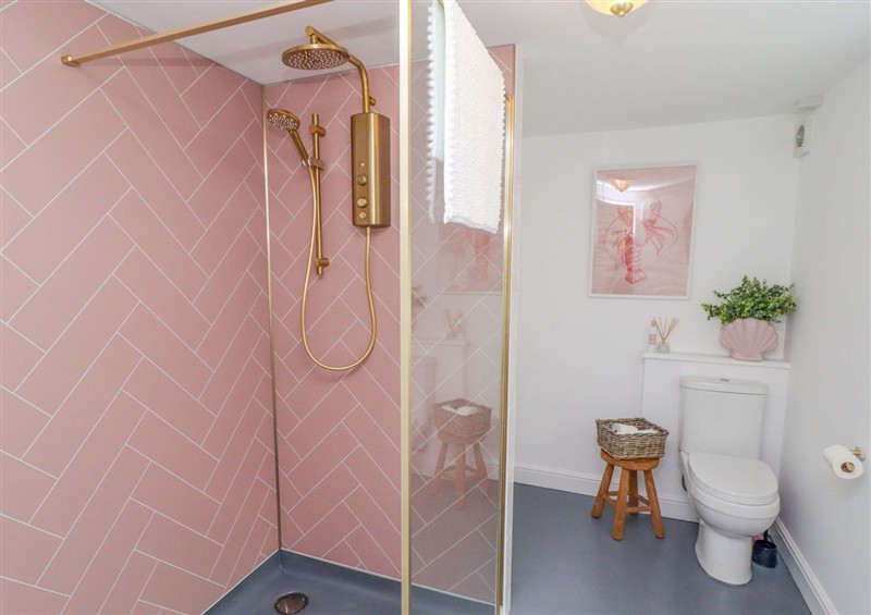The bathroom at Pentwyn, Solva