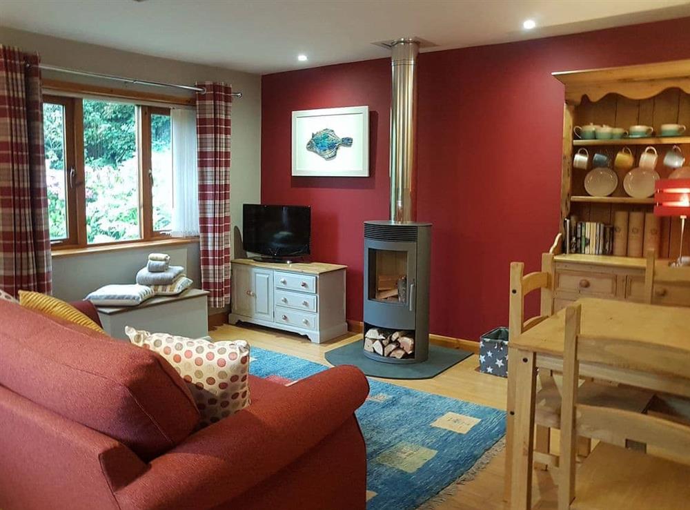 Open plan living space with wooden floor at Penty-Lowarth in Quoit, St Columb, Cornwall