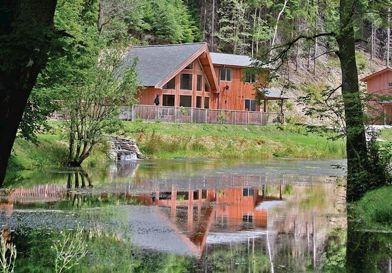 Birches Lodge VIP (photo number 16) at Penvale Lake Lodges in Denbighshire, Wales