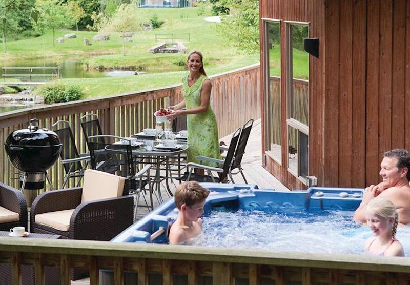 Birches Lodge VIP (photo number 18) at Penvale Lake Lodges in Denbighshire, Wales