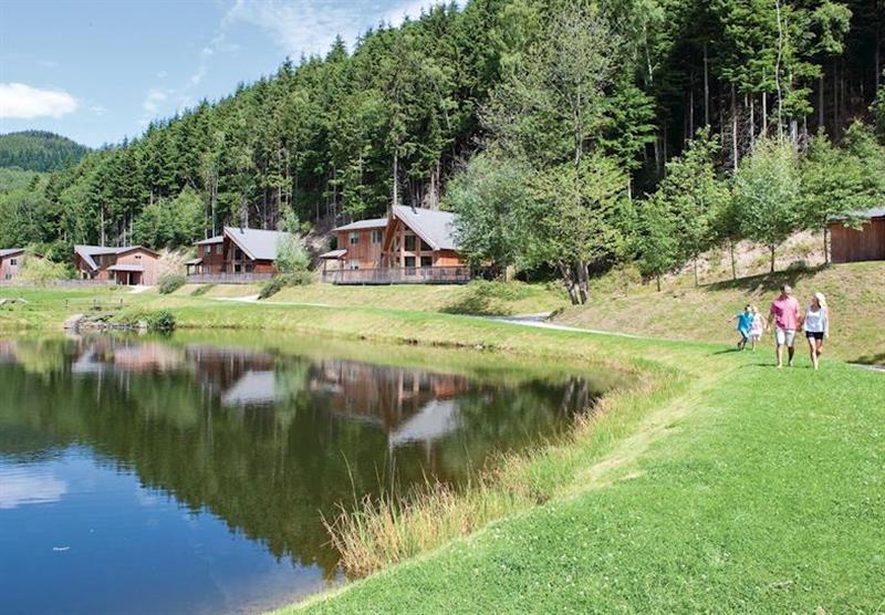 A photo of Birches Lodge VIP (Pet) at Penvale Lake Lodges