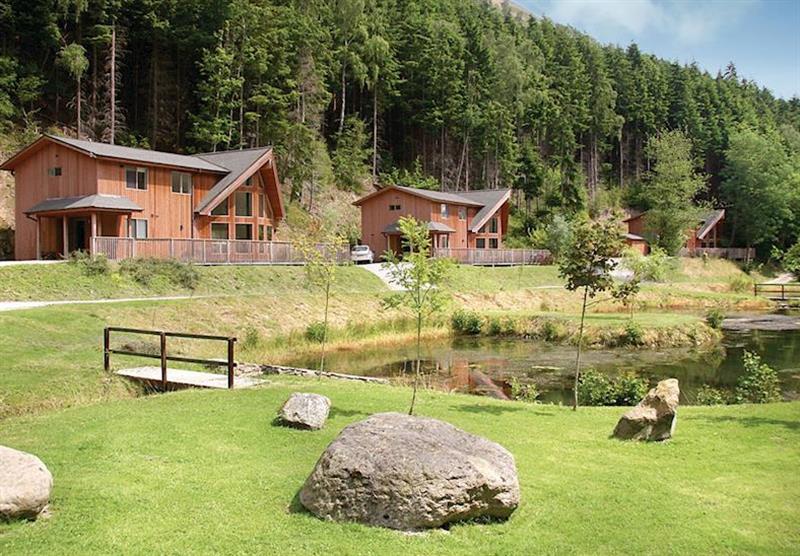 The lodge setting at Penvale Lake Lodges in Denbighshire, Wales