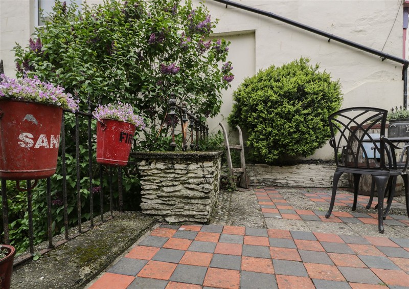 The garden at Penygrisiau, Barmouth